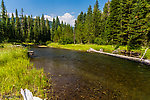  From Mystery Creek # 218 in Wyoming.