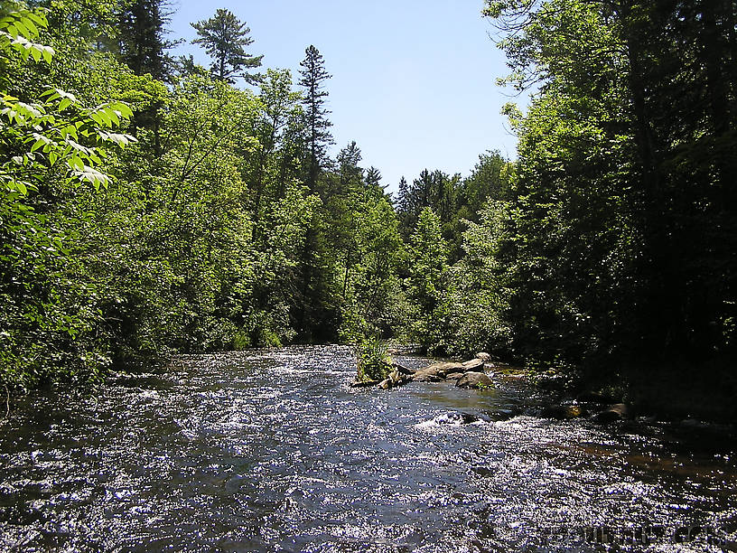  From the Bois Brule River in Wisconsin.