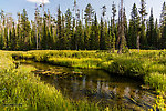  From Mystery Creek # 219 in Wyoming.