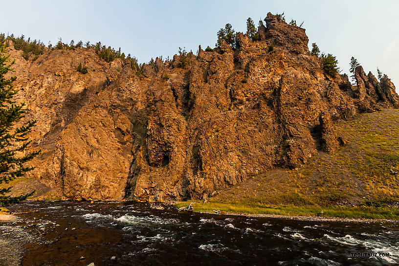  From the Firehole River in Wyoming.