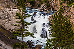  From the Firehole River in Wyoming.