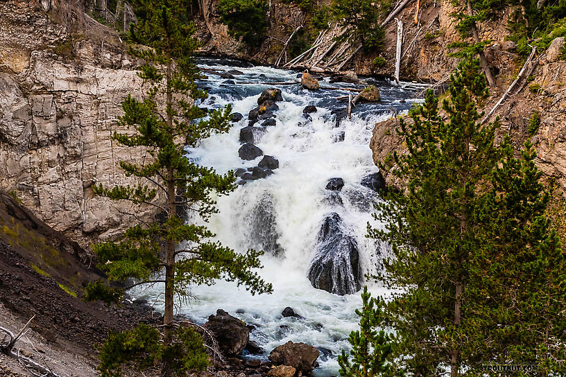  From the Firehole River in Wyoming.