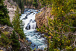  From the Firehole River in Wyoming.