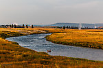  From the Firehole River in Wyoming.