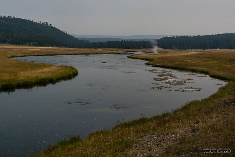  From the Firehole River in Wyoming.