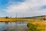  From the Firehole River in Wyoming.