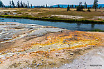  From the Firehole River in Wyoming.