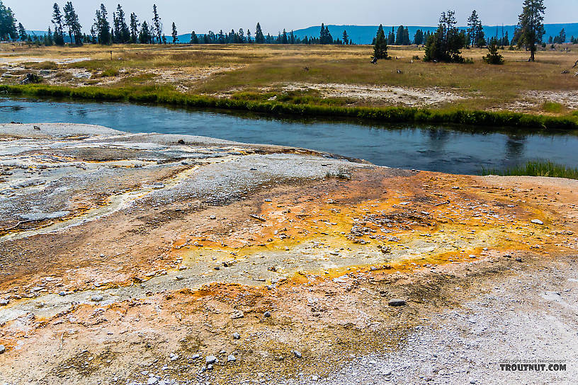  From the Firehole River in Wyoming.