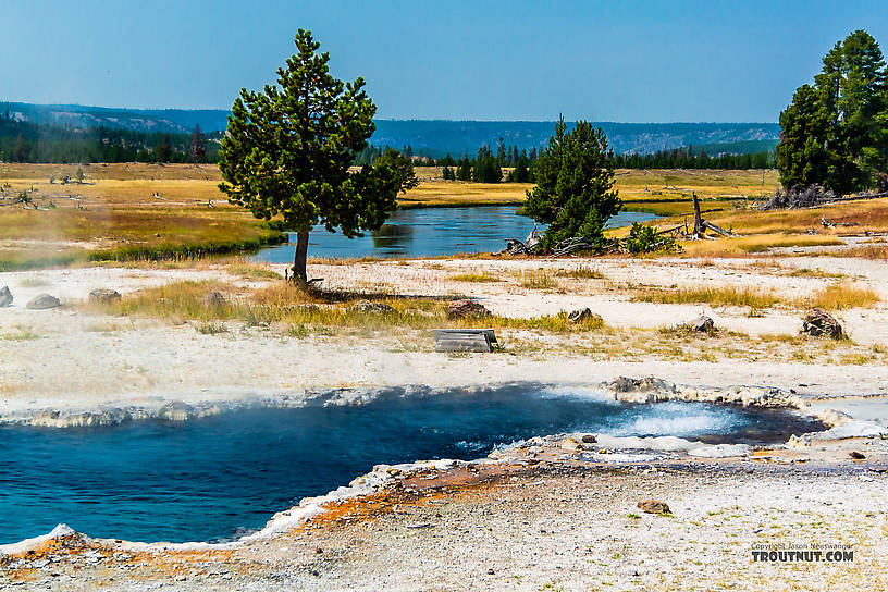 Ojo Caliente hot spring near the Firehole River From the Firehole River in Wyoming.