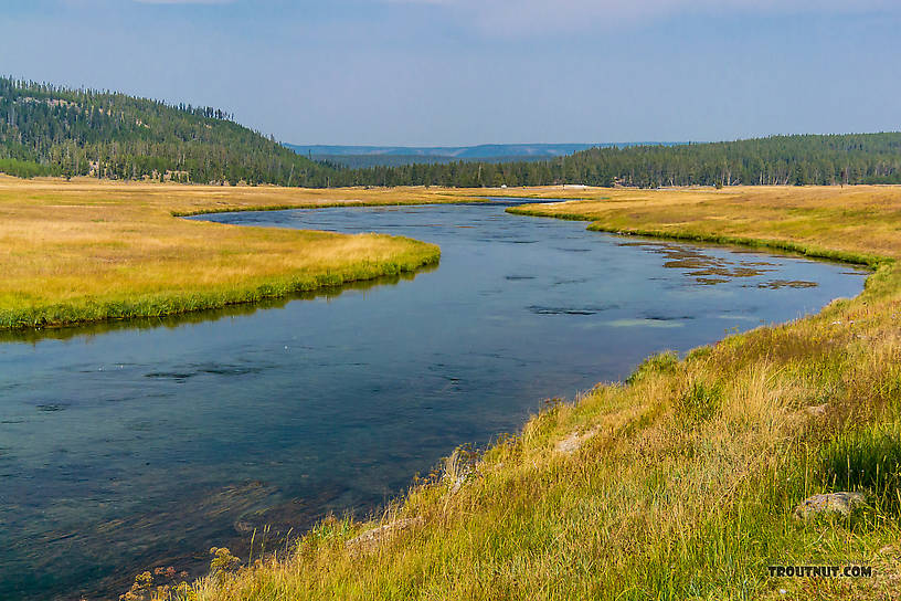  From the Firehole River in Wyoming.