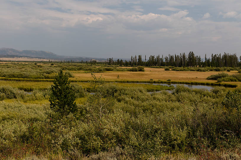  From Duck Creek in Montana.