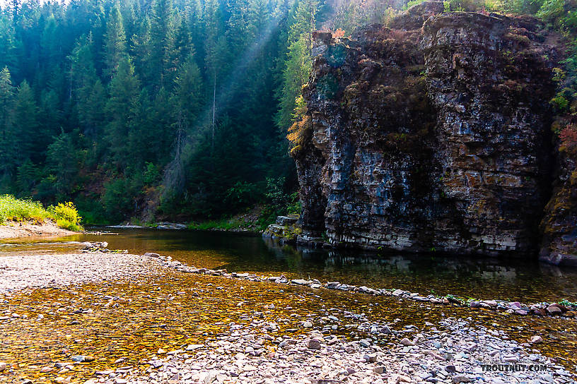  From the North Fork Couer d'Alene River in Idaho.