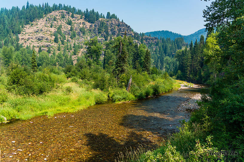  From the North Fork Couer d'Alene River in Idaho.