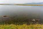  From the Henry's Fork of the Snake River in Idaho.