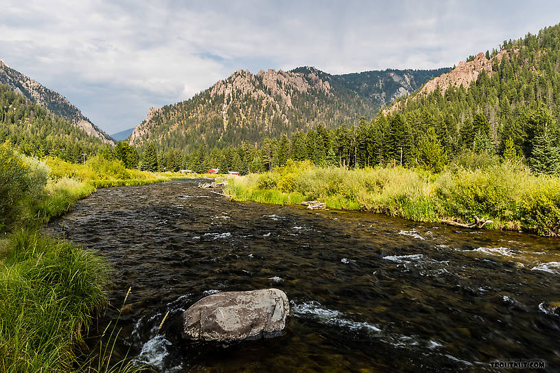  From the Madison River in Montana.