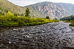  From the Madison River in Montana.