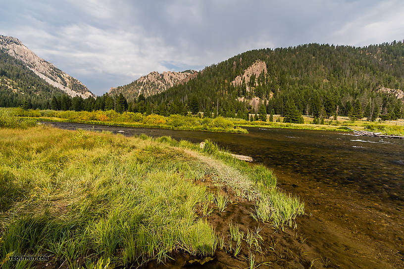  From the Madison River in Montana.