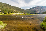  From the Madison River in Montana.