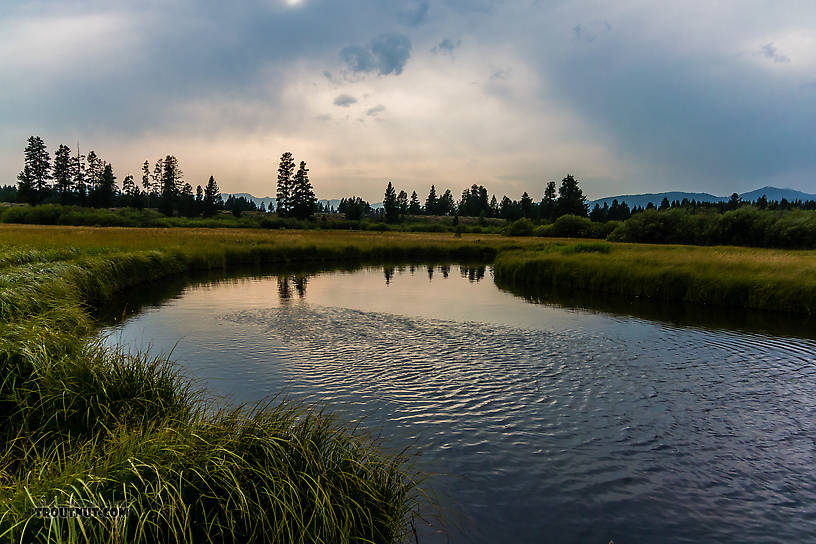  From Duck Creek in Montana.