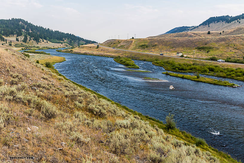  From the Madison River in Montana.