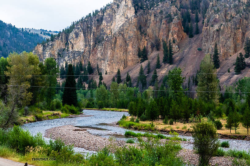  From Rock Creek in Montana.