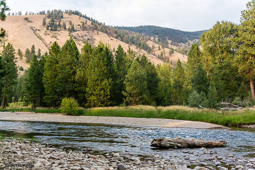  From Rock Creek in Montana.