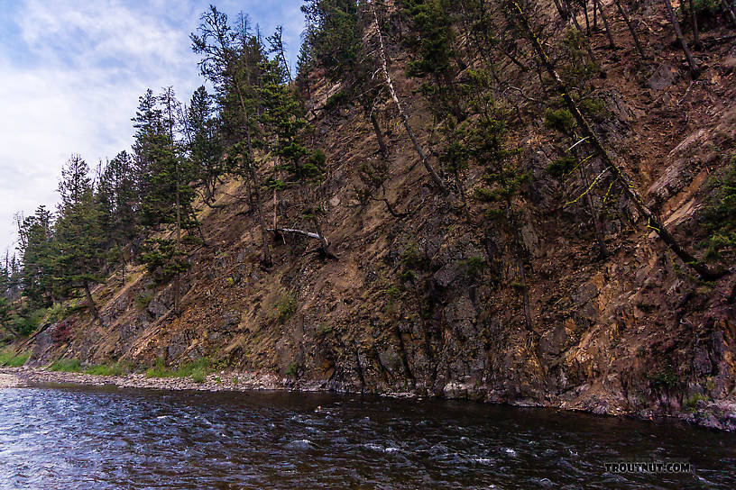  From Rock Creek in Montana.