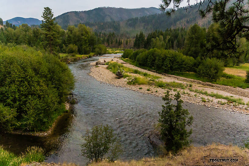  From Rock Creek in Montana.