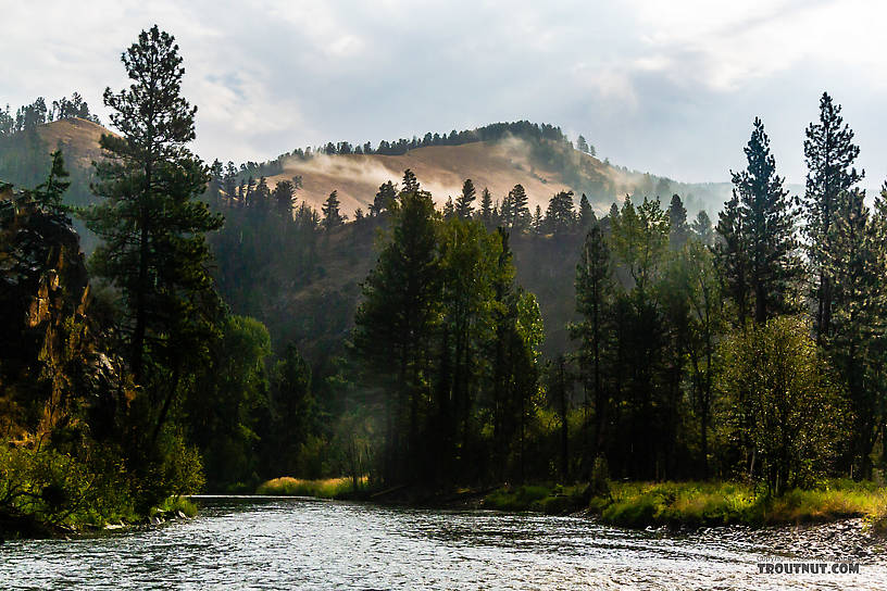 Rock Creek near Missoula From Rock Creek in Montana.