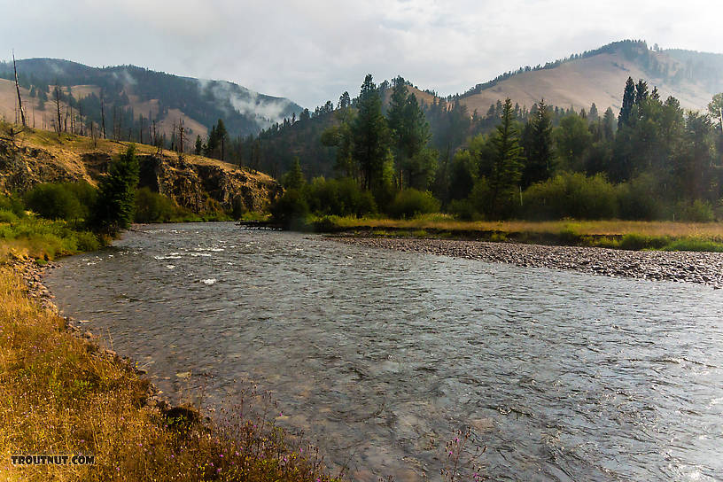  From Rock Creek in Montana.