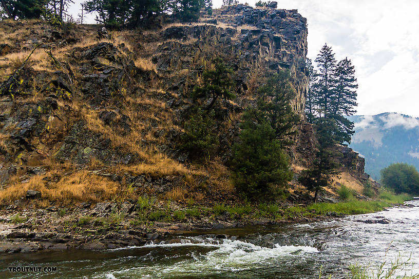  From Rock Creek in Montana.