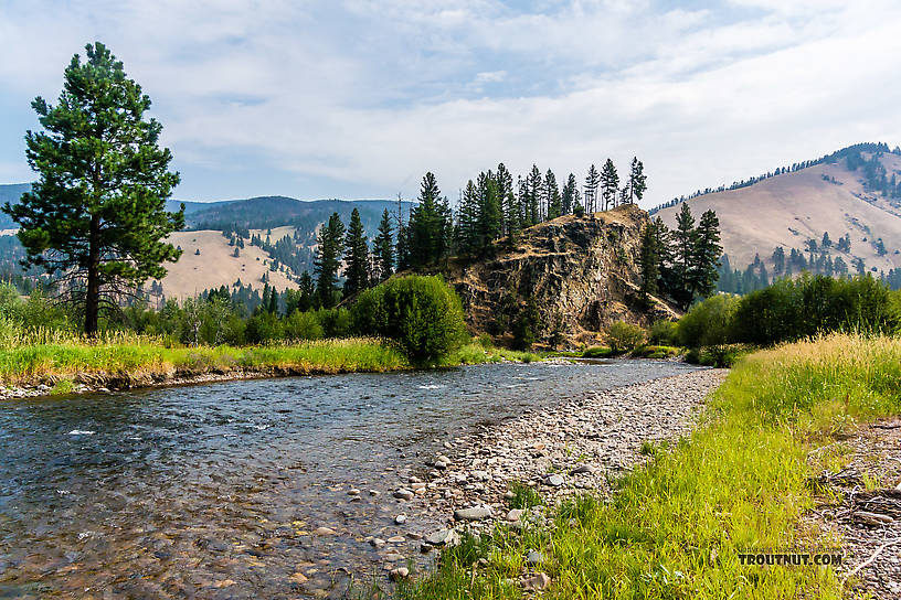  From Rock Creek in Montana.