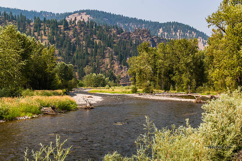  From Rock Creek in Montana.