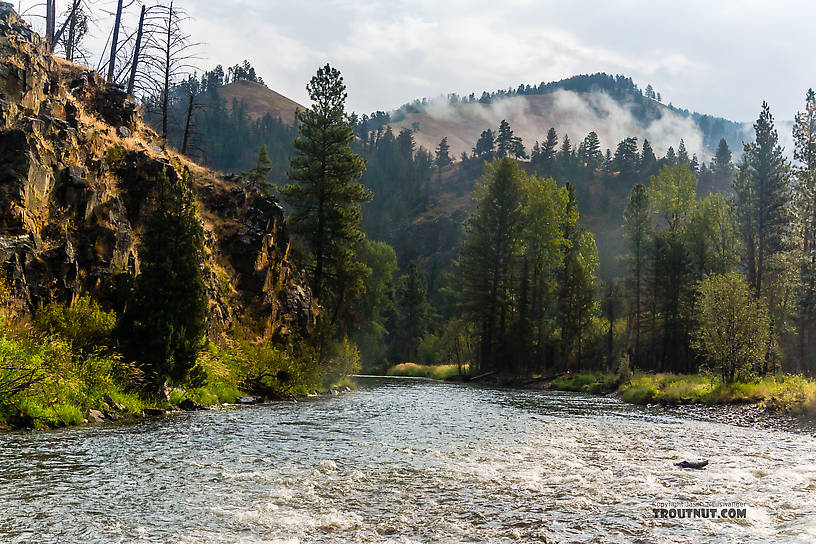  From Rock Creek in Montana.