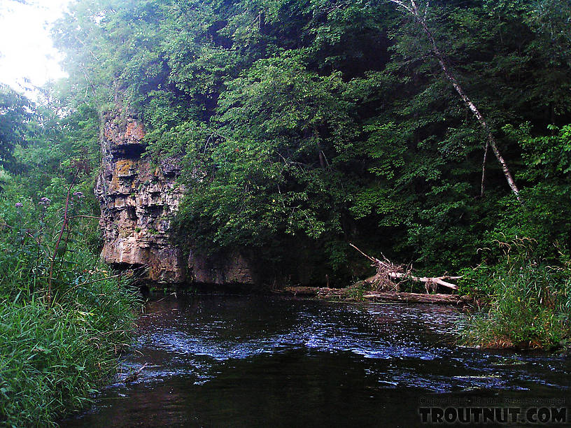  From the Rush River in Wisconsin.