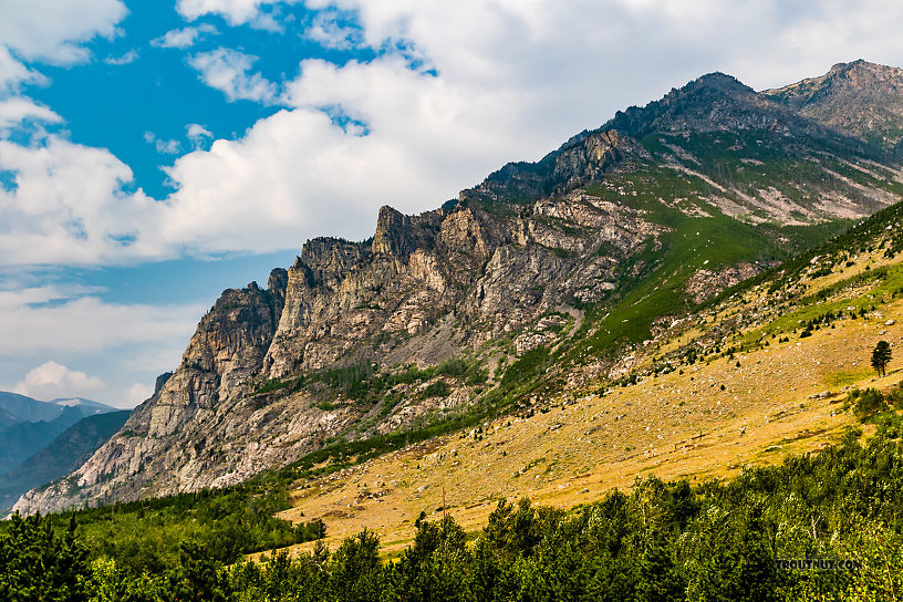 View up from the river From Mystery Creek # 227 in Montana.