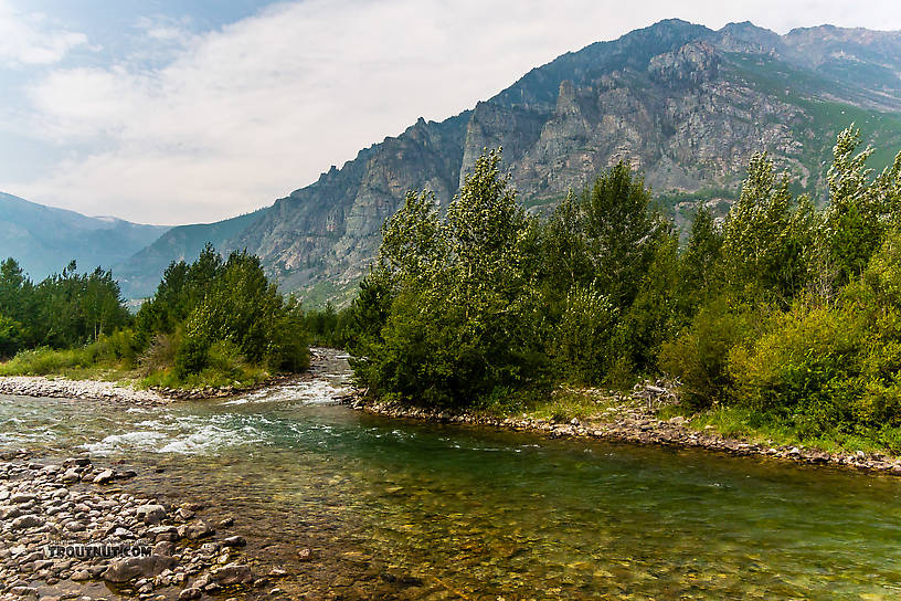  From Mystery Creek # 227 in Montana.