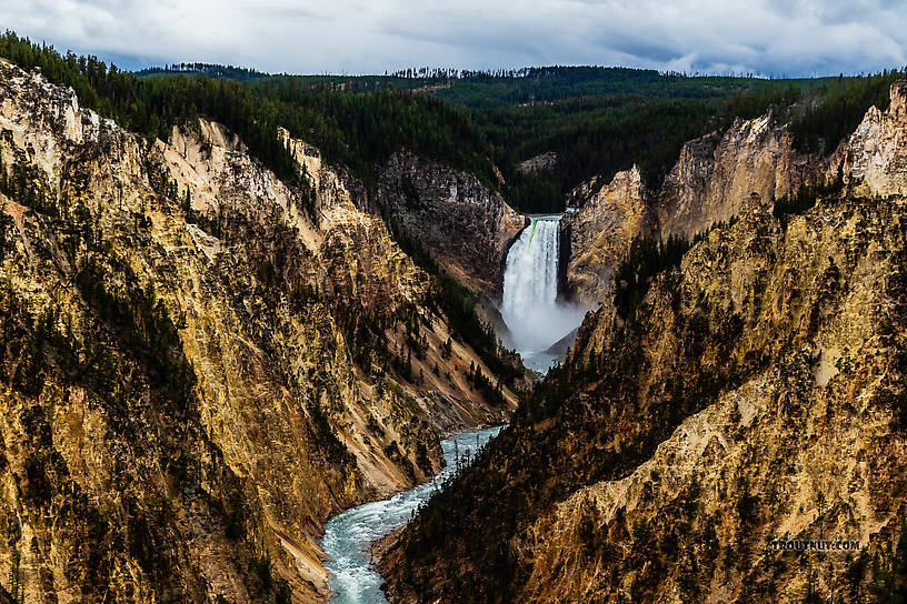 Grand Canyon of the Yellowstone From the Yellowstone River in Wyoming.