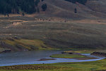  From the Yellowstone River in Wyoming.