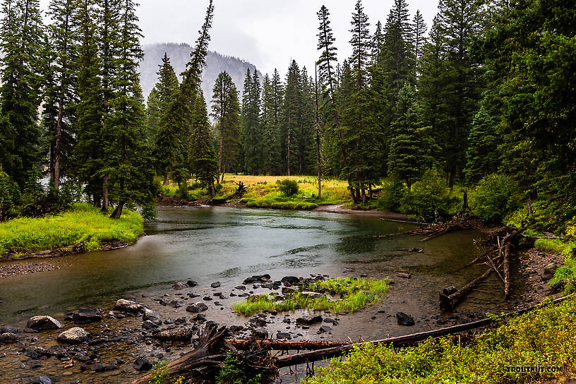  From Slough Creek in Wyoming.