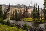  From Slough Creek in Wyoming.