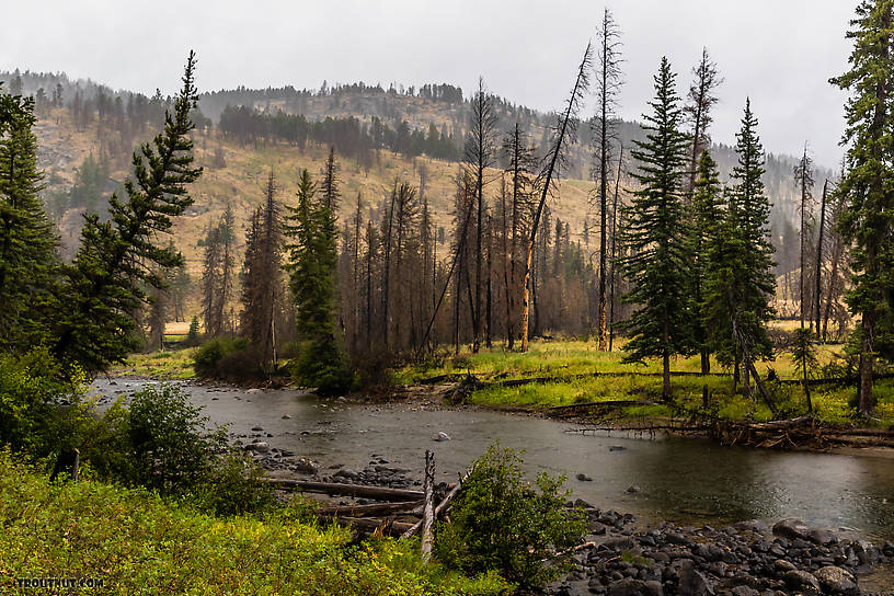  From Slough Creek in Wyoming.