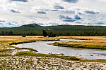  From the Gibbon River in Wyoming.