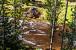  From the Gibbon River in Wyoming.