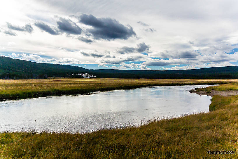  From the Gibbon River in Wyoming.