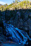  From the Gibbon River in Wyoming.