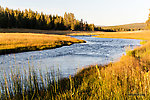  From Nez Perce Creek in Wyoming.