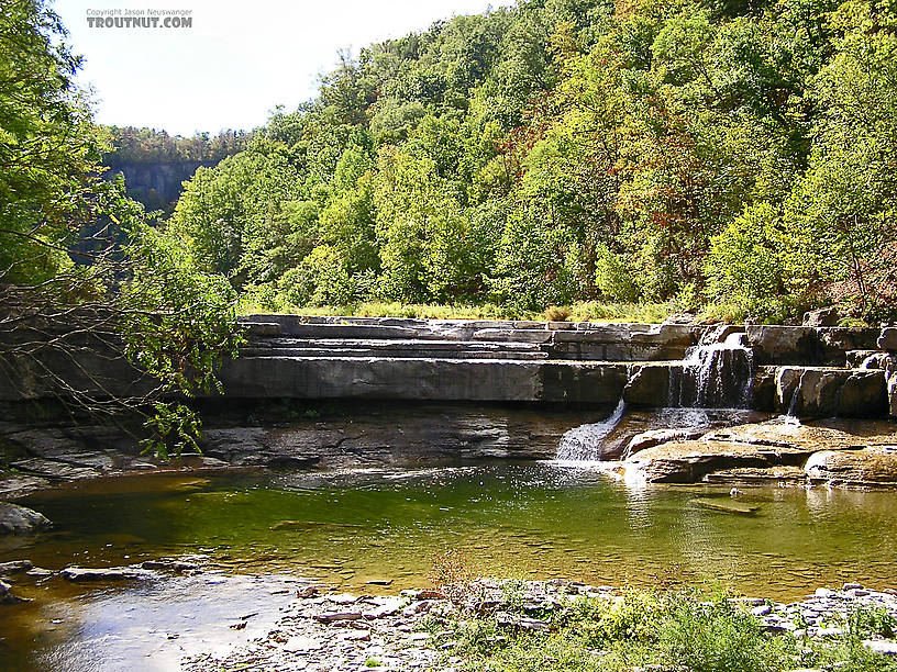 The unique geology of the Finger Lakes region of upstate NY created this waterfall, pictured here during a drought that reduced the flow to a trickle. From Toughannock Creek in New York.