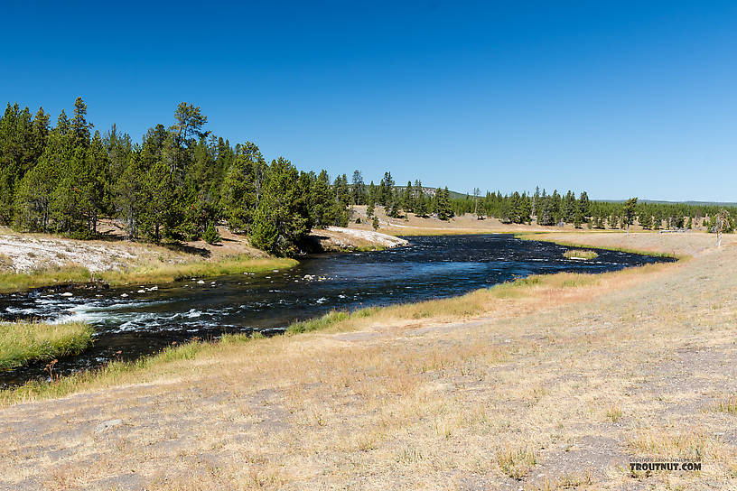  From the Firehole River in Wyoming.