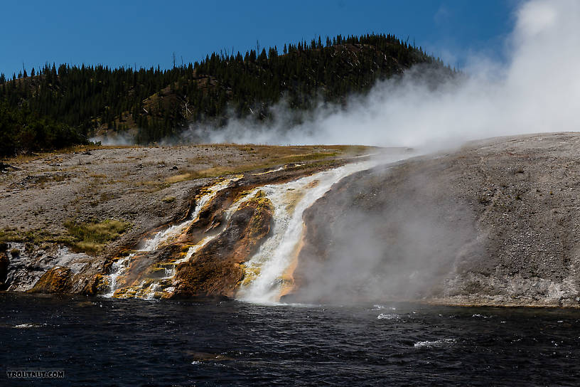  From the Firehole River in Wyoming.